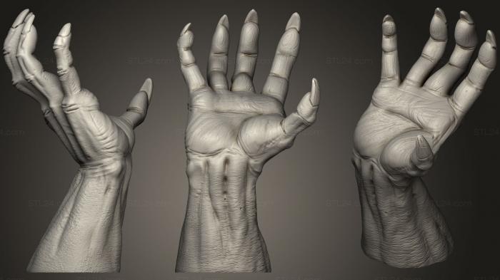 Anatomy of skeletons and skulls (Devilman Hand, ANTM_0384) 3D models for cnc